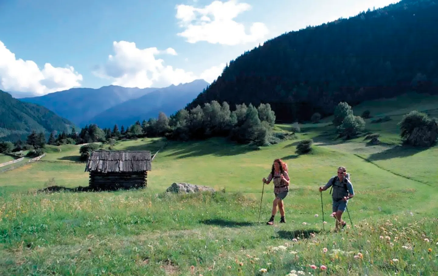 Ferienhotel Alber SPORTS_AND_LEISURE