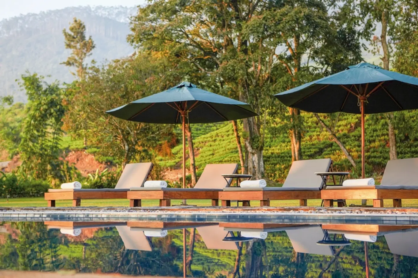Ceylon Tea Trails Garten