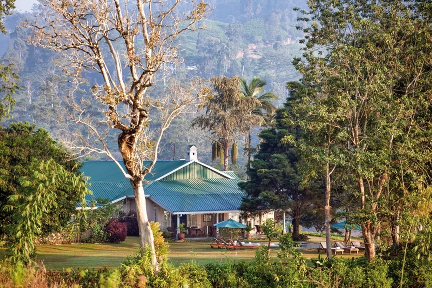 Ceylon Tea Trails EXTERIOR