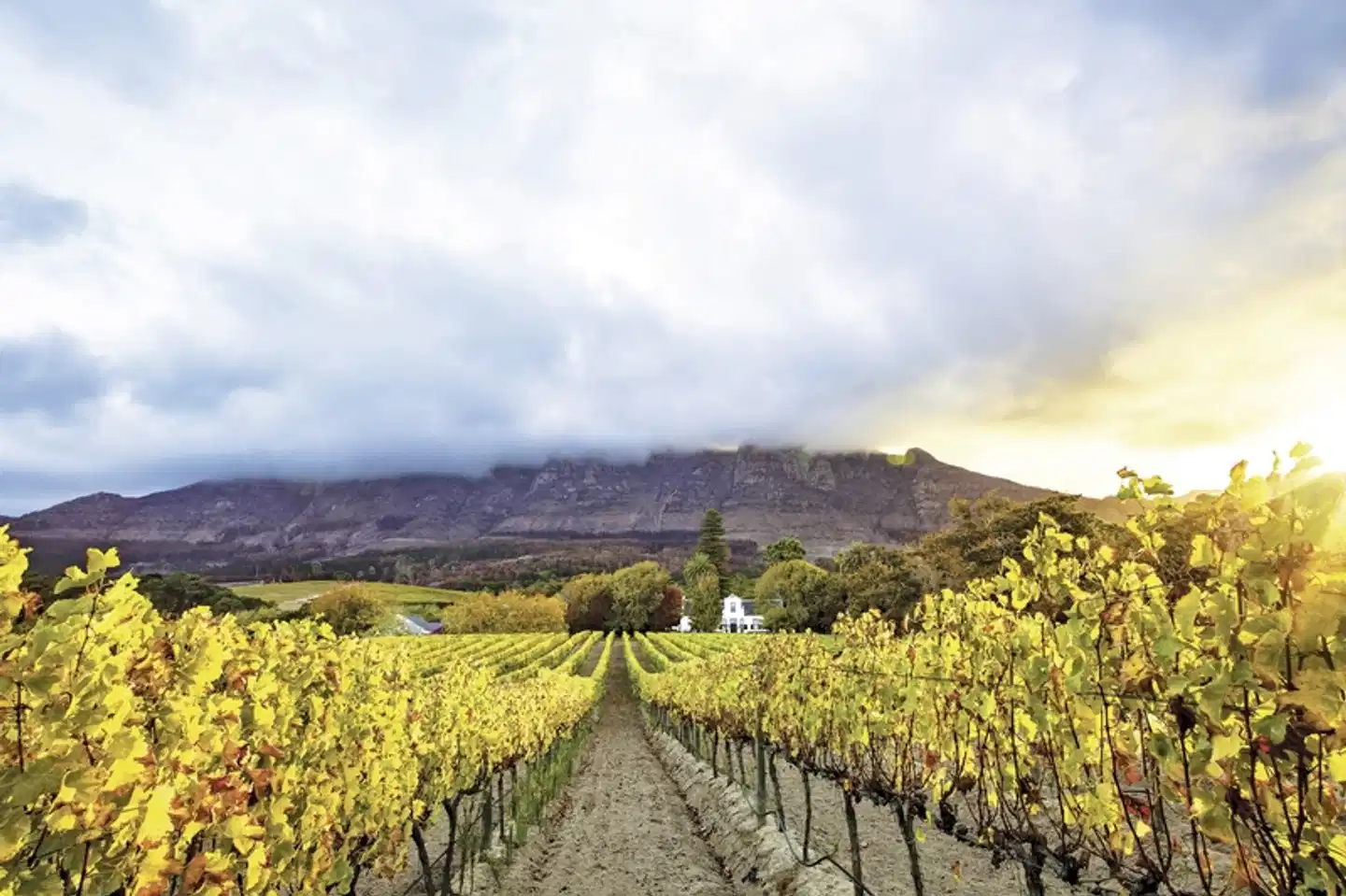 Südafrika à la carte - Kleingruppenreise Landschaft