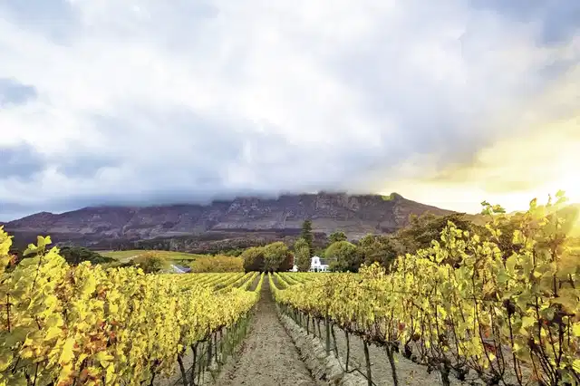 Südafrika à la carte - Kleingruppenreise Landschaft