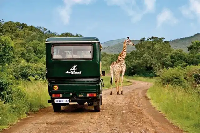 Drifters - Abenteuer Krüger Park Aussenansicht