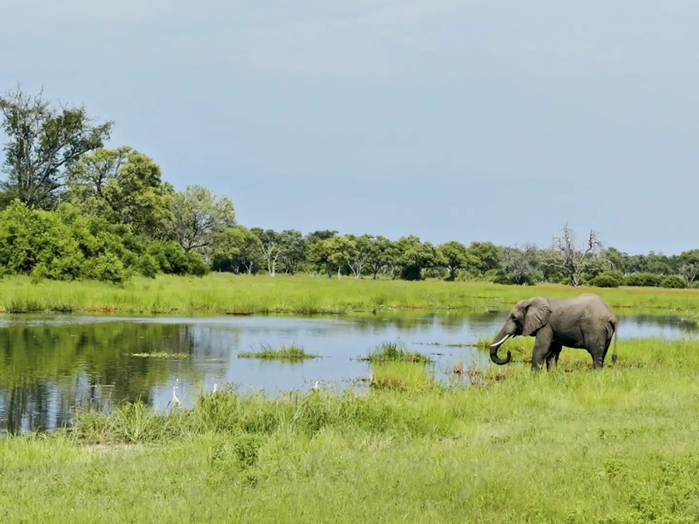 Am Puls der Natur inkl. Mietwagen Tiere