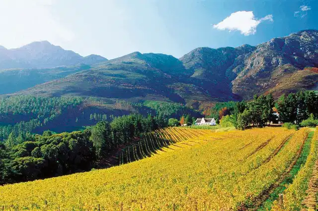 Wellness, Wein & wilde Tiere Landschaft