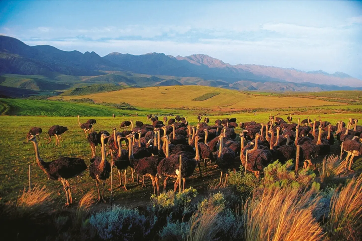Wellness, Wein & wilde Tiere Landschaft