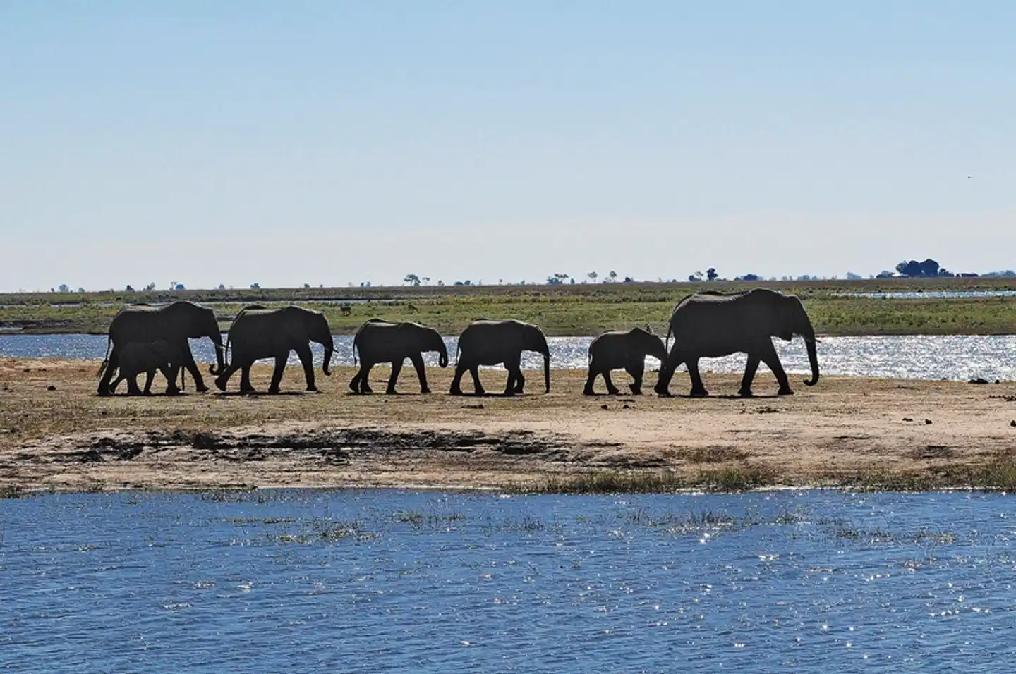 Viktoriafälle entdecken - The Victoria Falls Hotel Tiere