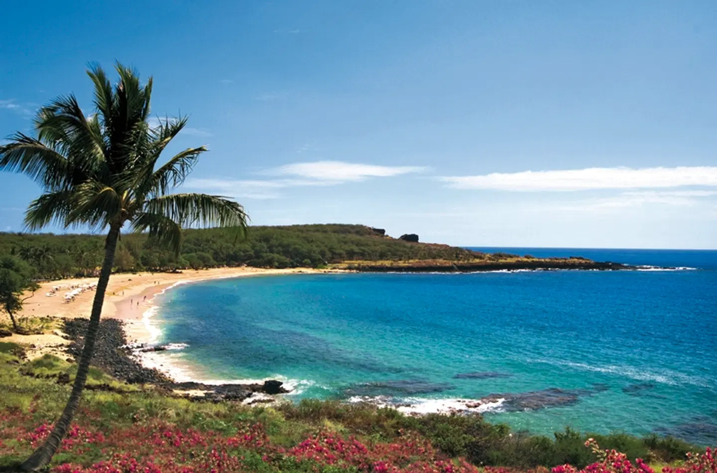 Four Seasons Resort Lanai LANDSCAPE