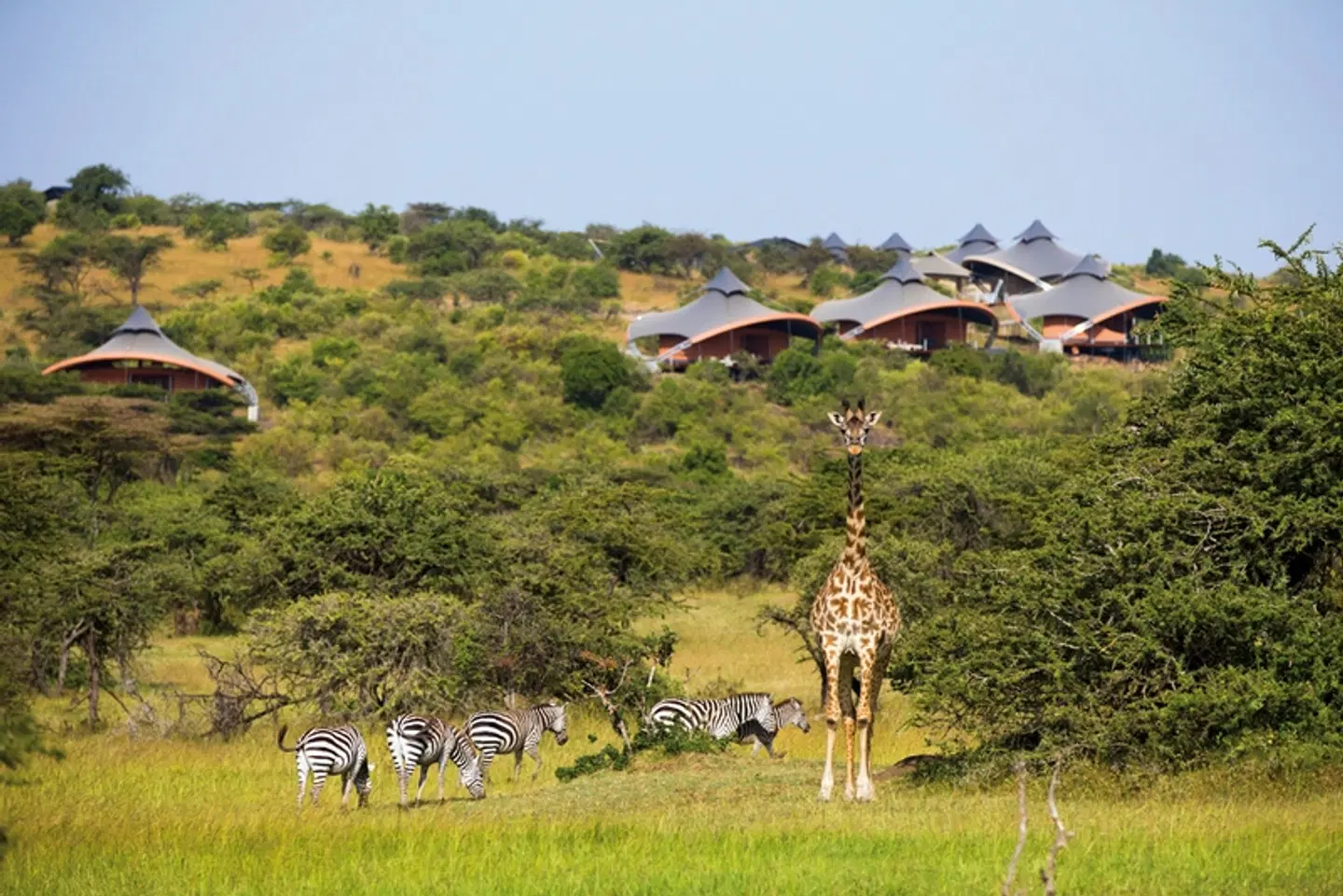 Mahali Mzuri Tiere