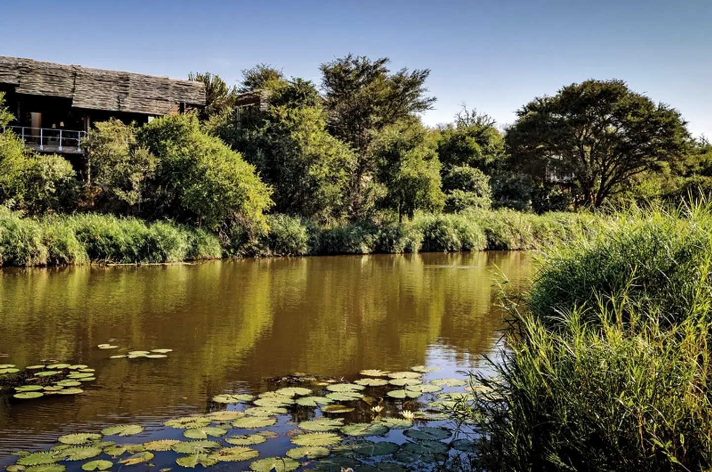 Singita Lebombo Lodge LANDSCAPE