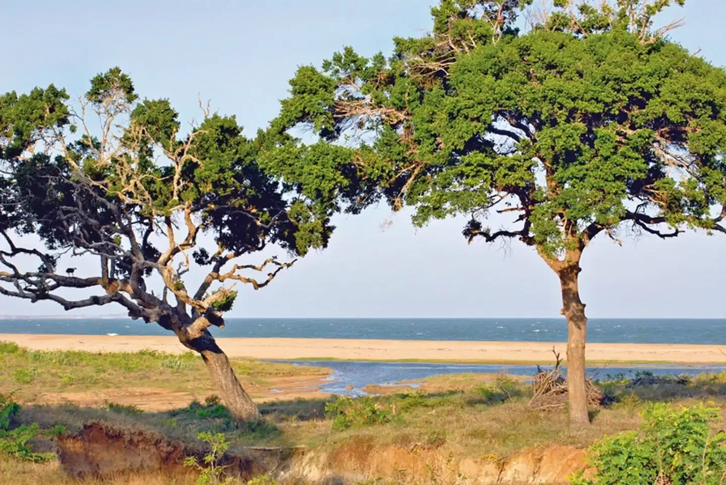 Perle im Indischen Ozean Landschaft