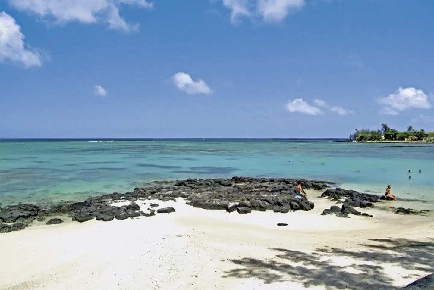 Ocean Beauty Strand