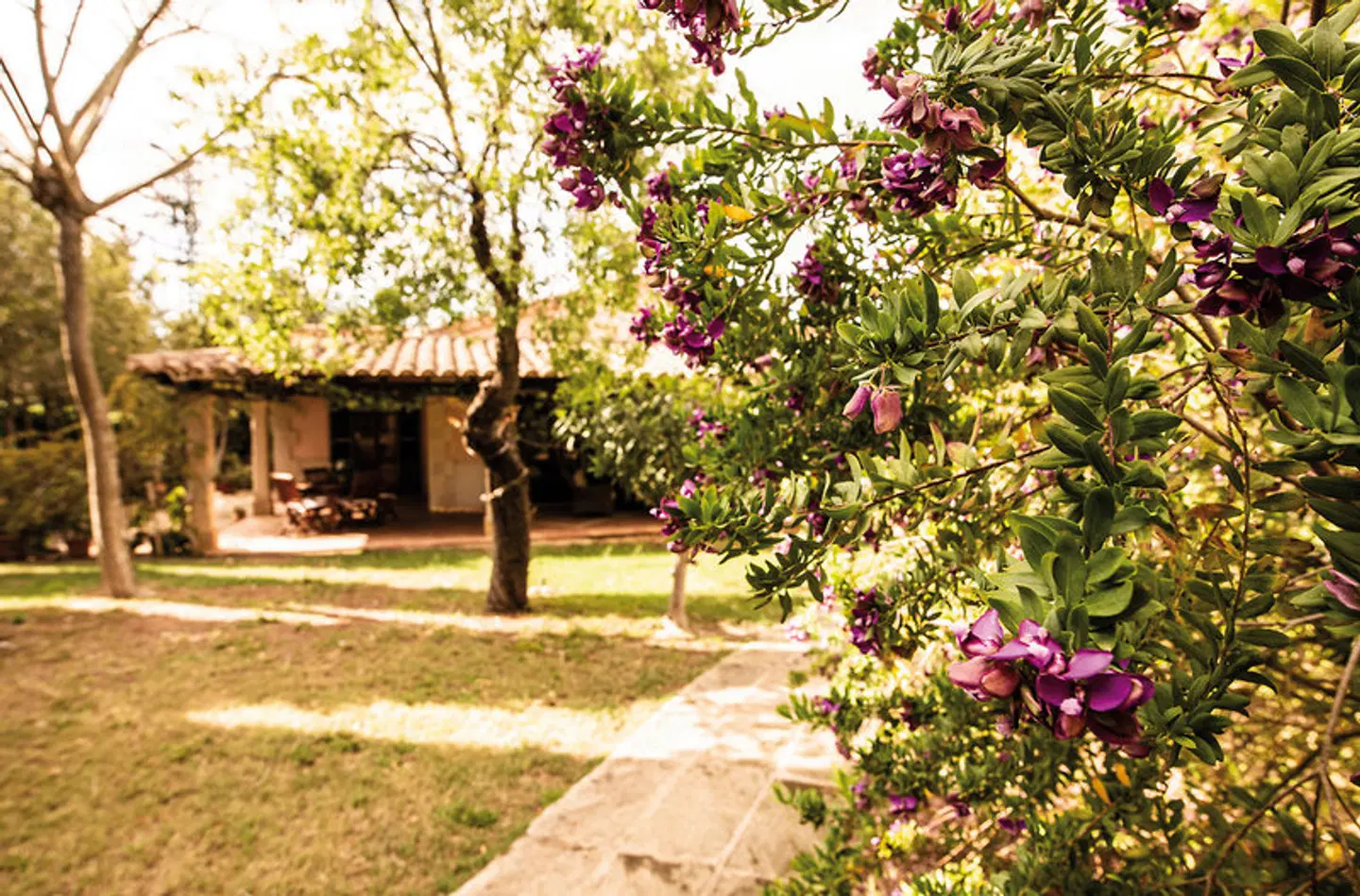 Rural Aumallia & Spa Garten