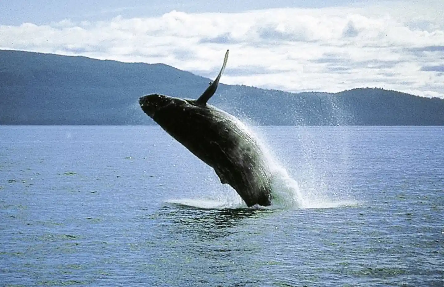 Wellness, Wein & wilde Tiere Tiere