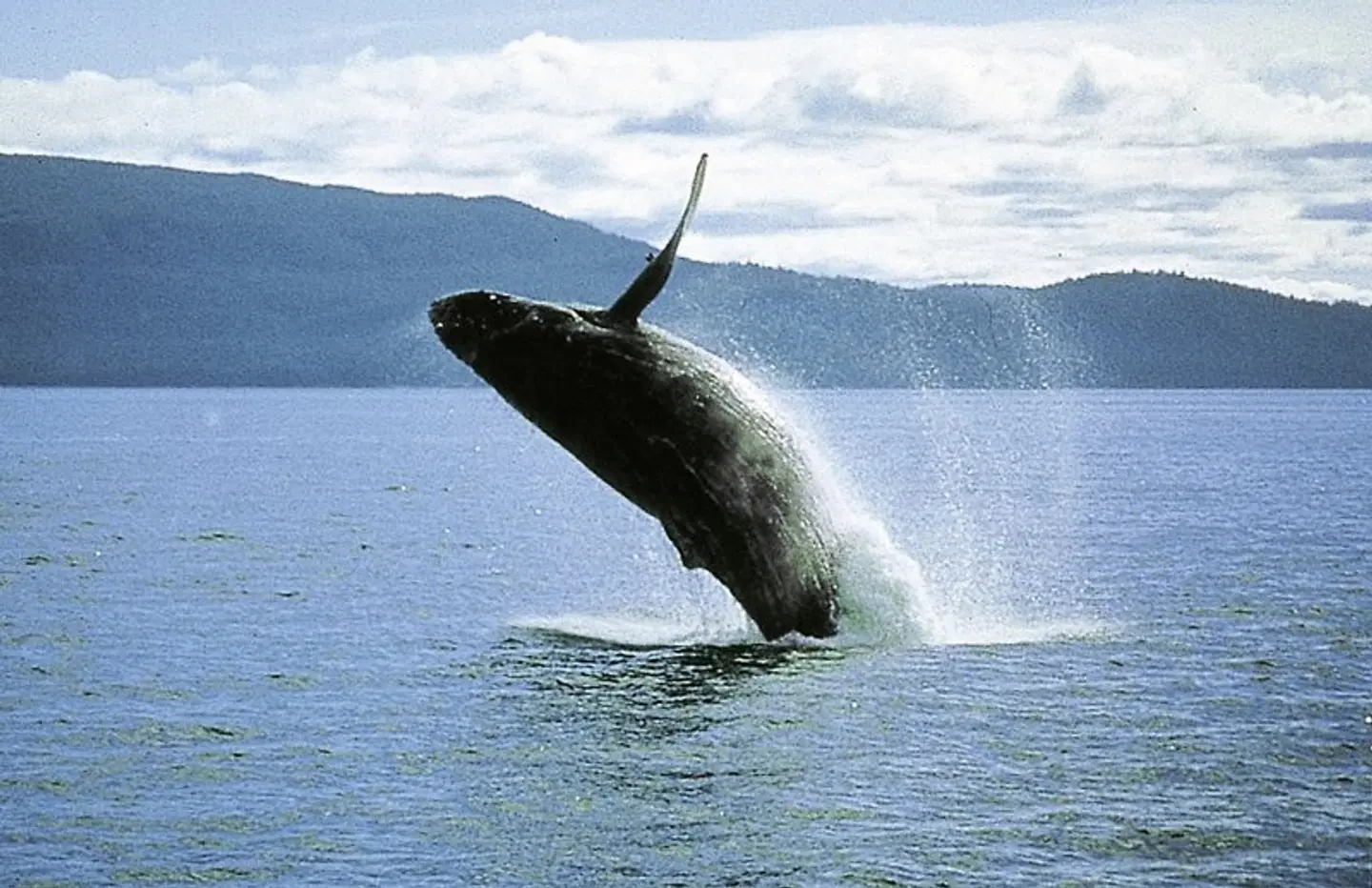 Wellness, Wein & wilde Tiere Tiere