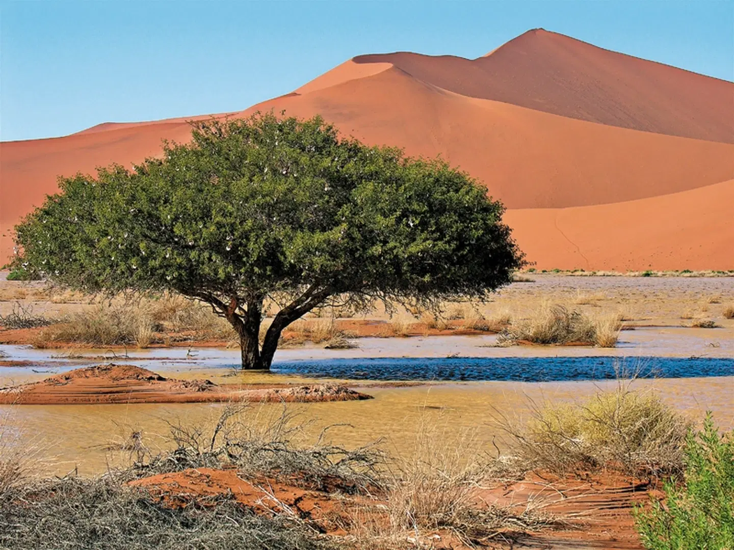 Go4Namibia - Erlebnisreise für die ganze Familie - Südtour Landschaft