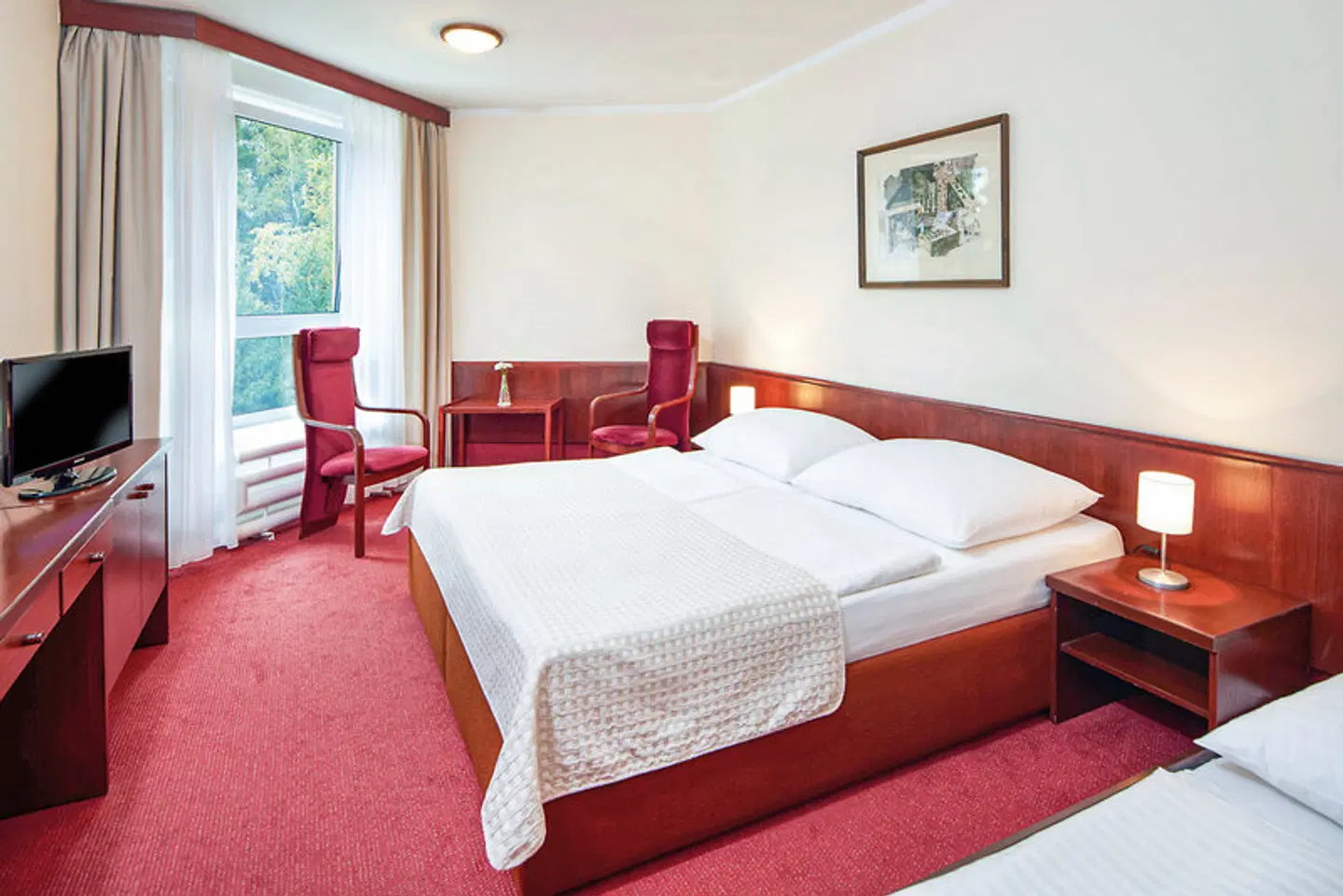 Wellness Hotel Svornost ROOM_EXAMPLE