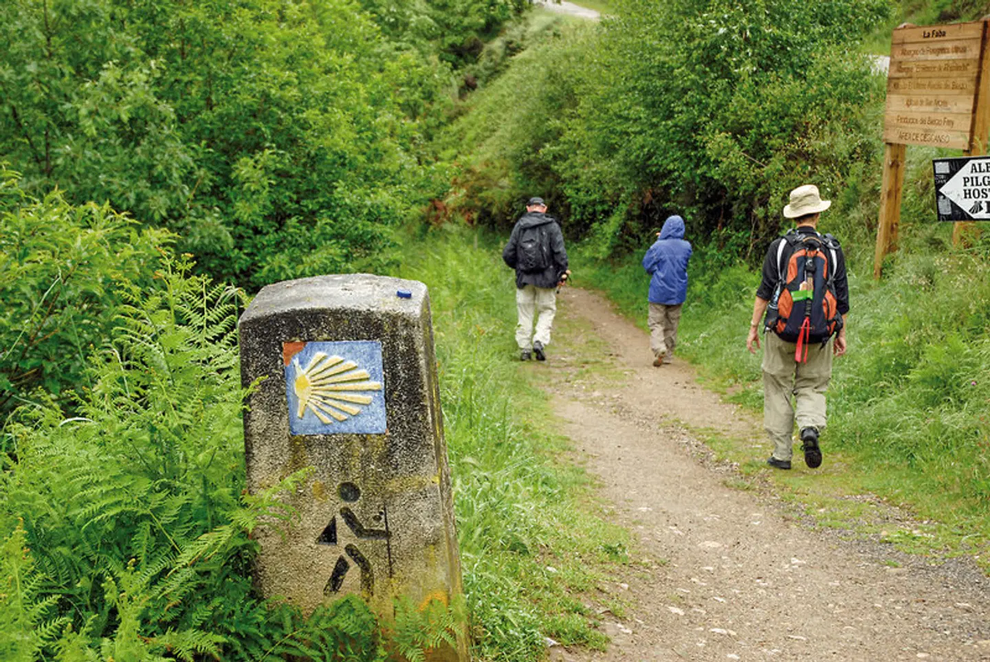 Wandern auf dem Jakobsweg - Die portugiesische Route an der Küste intensiv Garten