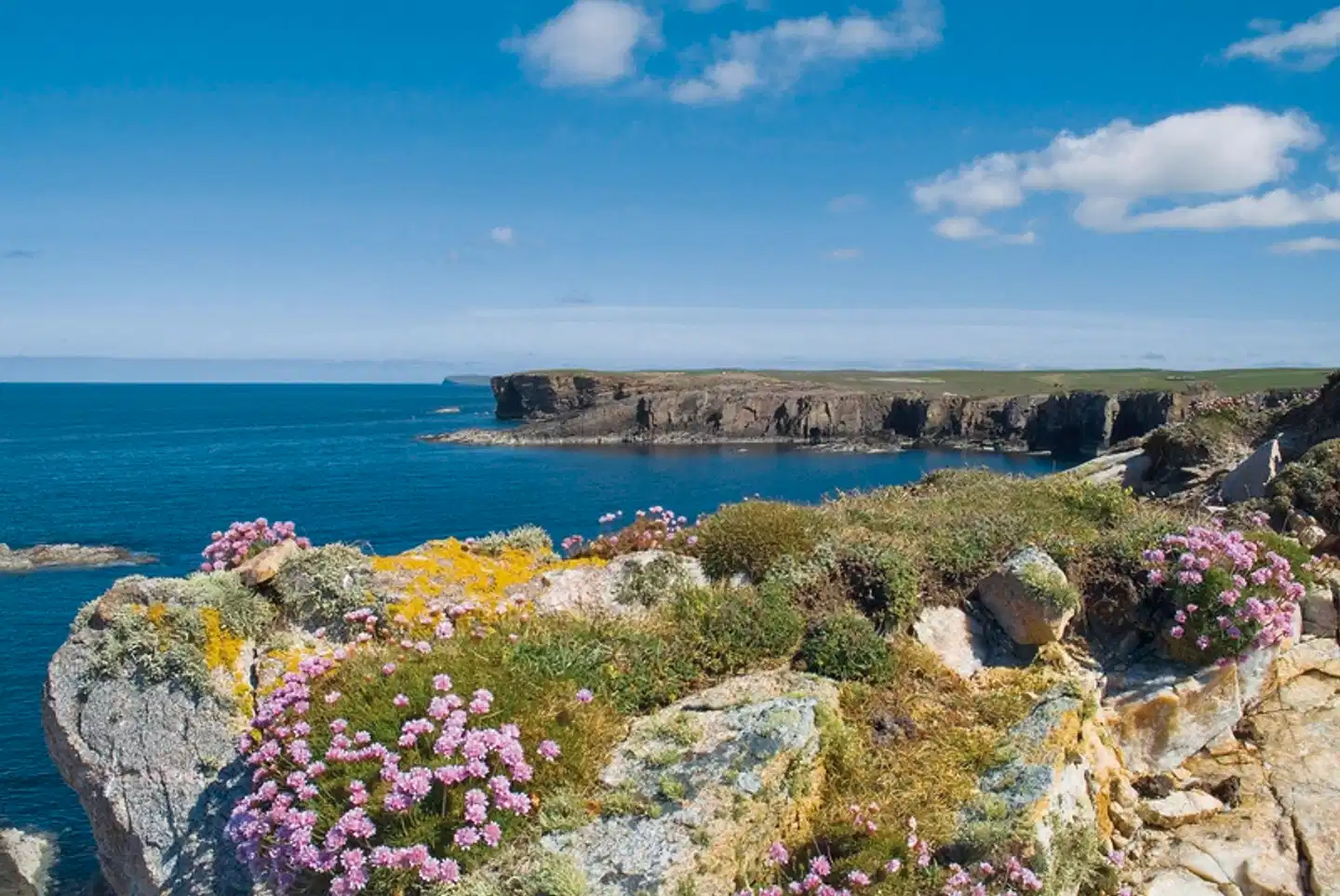 Schottland im Rampenlicht inkl. Norden 11 Nächte Landschaft