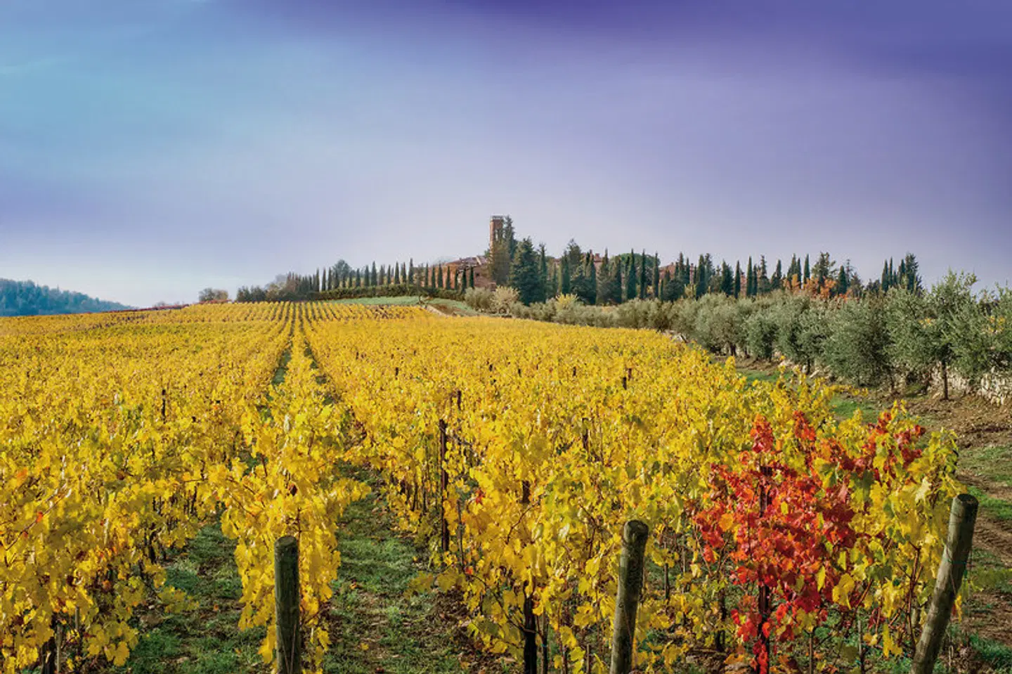 Borgo San Felice LANDSCAPE