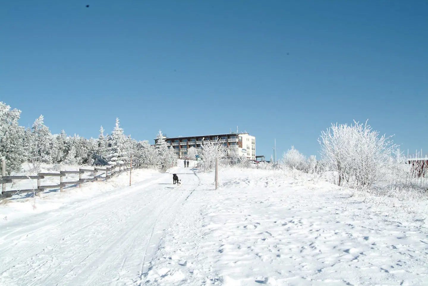 Wellness- & Nationalpark-Hotel Schliffkopf Strand