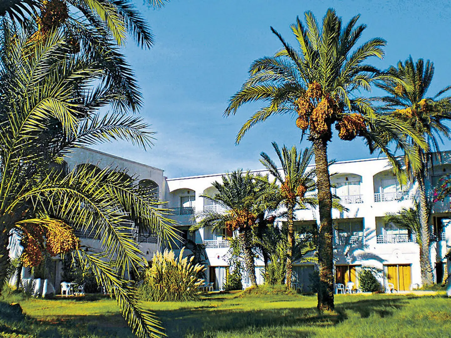 Zephir Garten