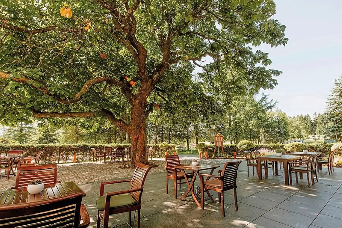 Waldhotel Kreuztanne Terrasse