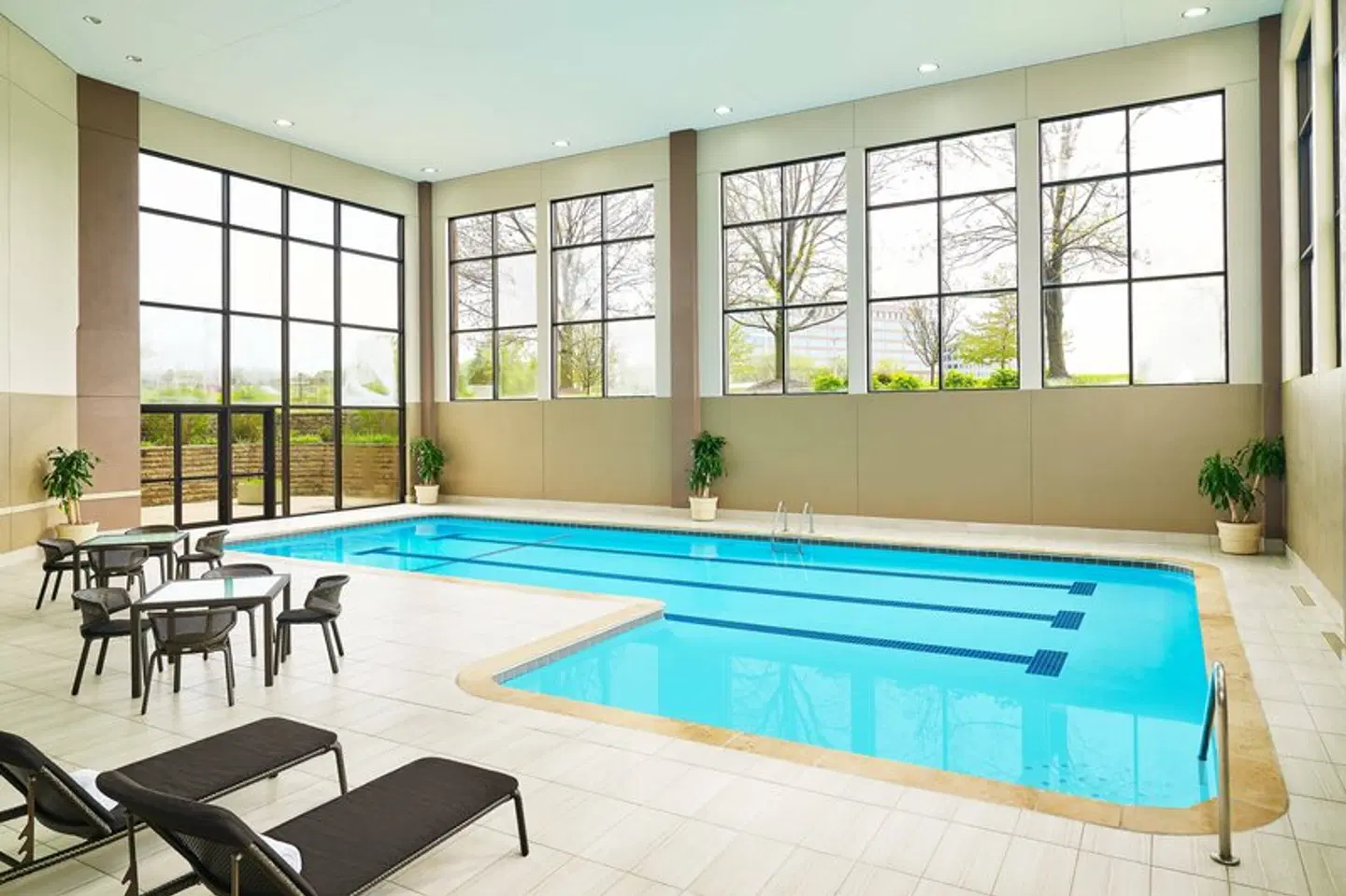 Sheraton Lisle Hotel Hallenbad