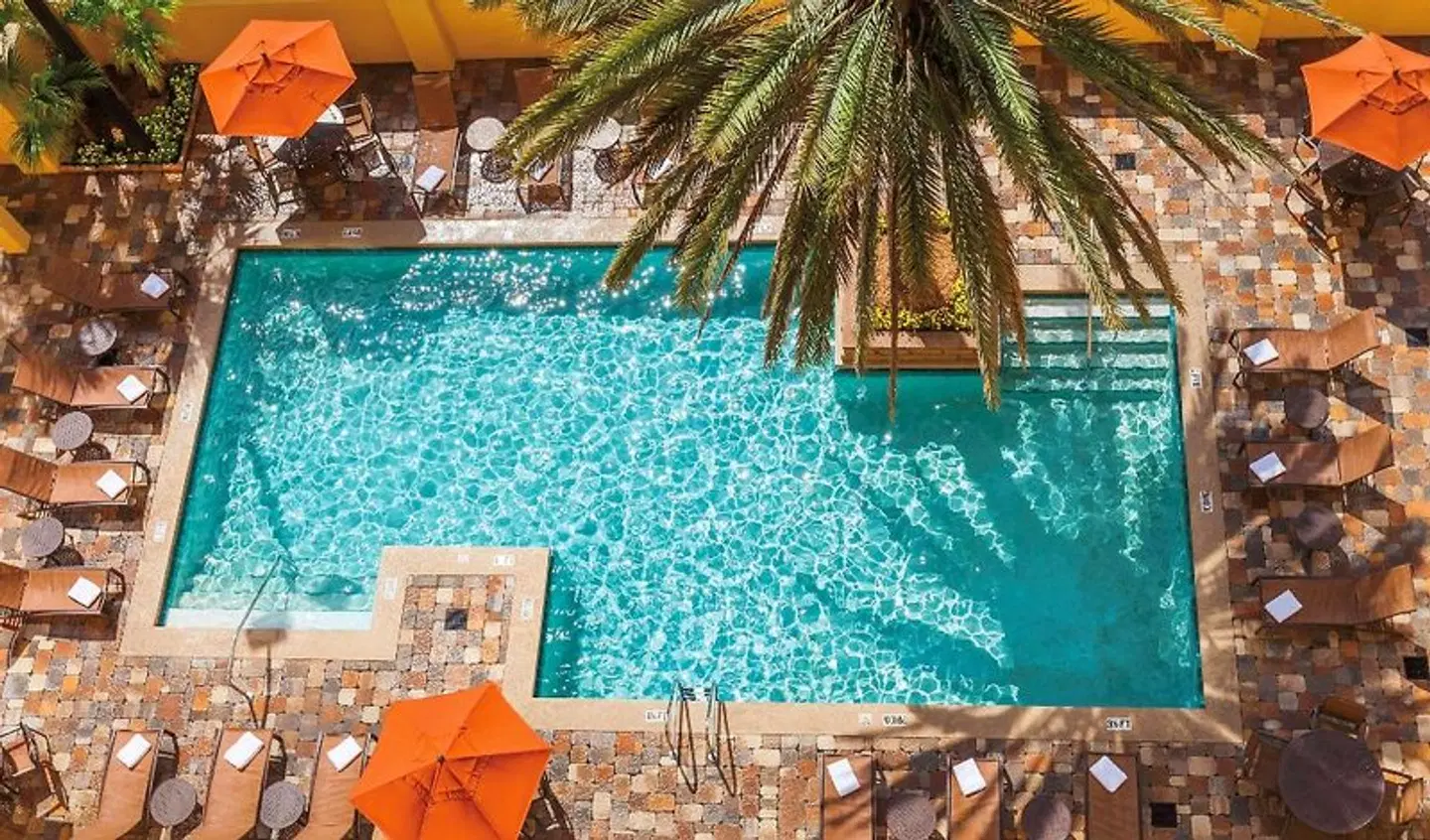 Embassy Suites by Hilton Orlando International Drive Convention Center OUTDOOR_POOL