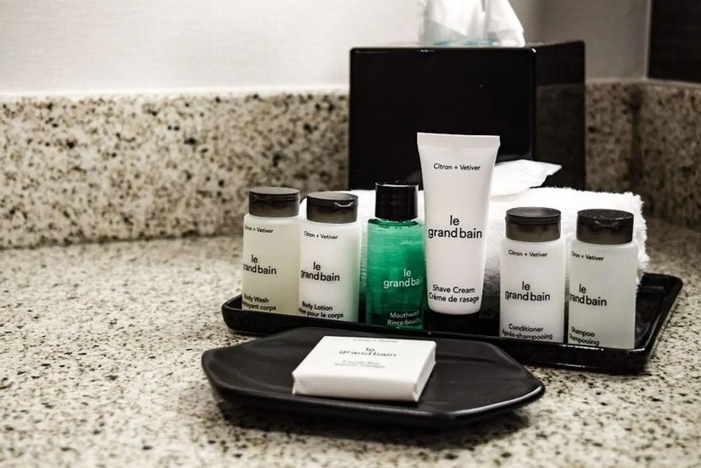 Sheraton Vancouver Airport Hotel Konferenz