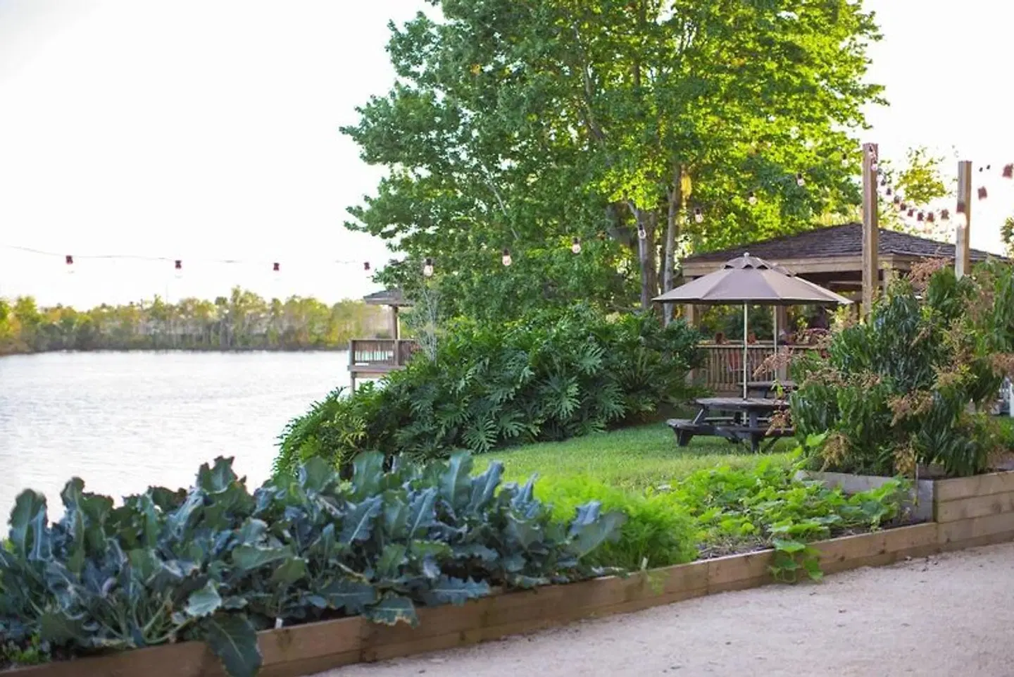 Marriott Orlando Airport Lakeside Garten