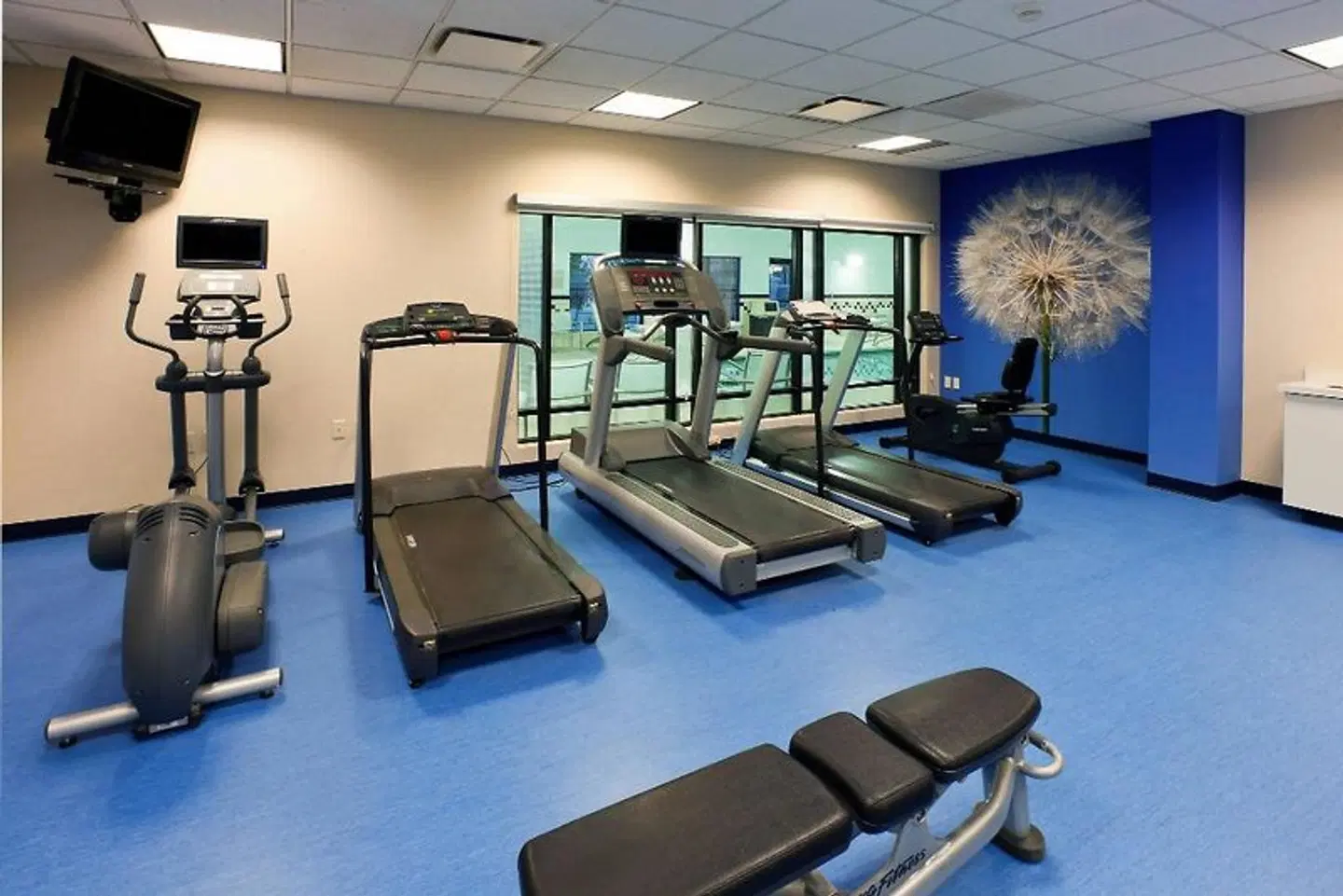 SpringHill Suites by Marriott Denver North / Westminster SPORTS_AND_LEISURE
