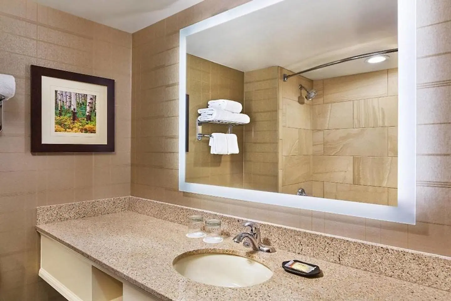 Sheraton Denver West Badezimmer