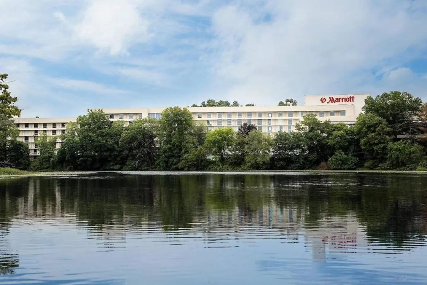 Boston Marriott Newton Tiere