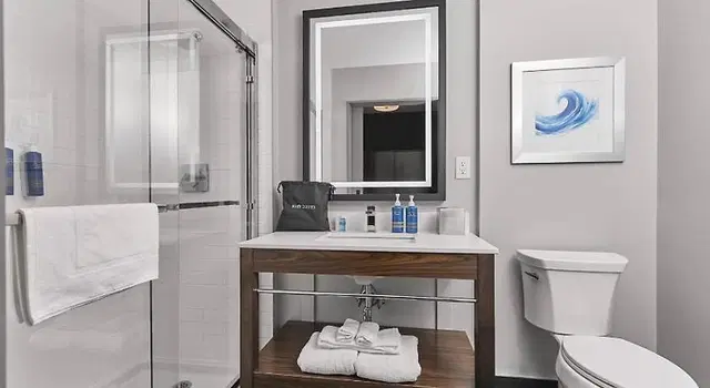 Four Points By Sheraton Oakville Badezimmer