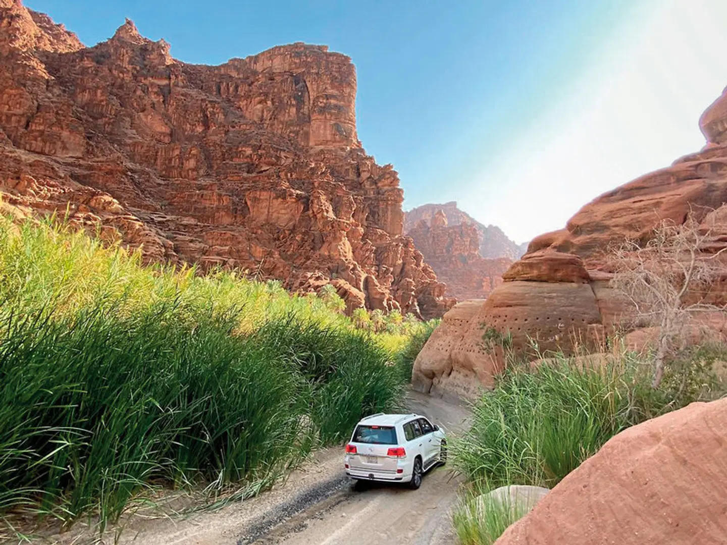 Faszination Saudi-Arabien - Naturwunder & World Heritage LANDSCAPE