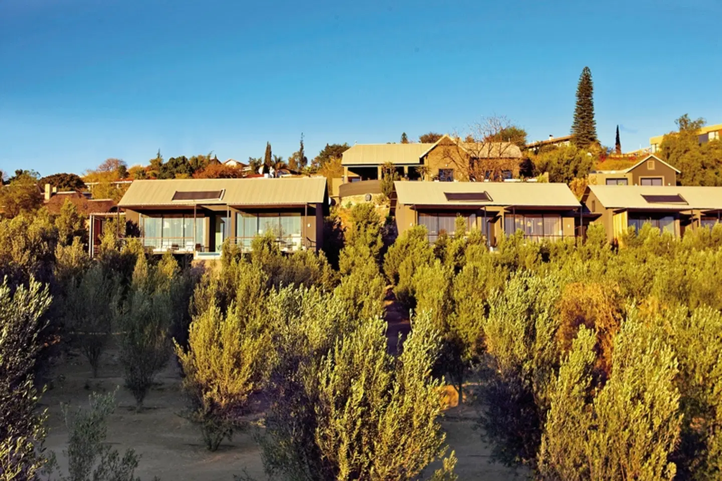 The Olive Exclusive Boutique Hotel EXTERIOR