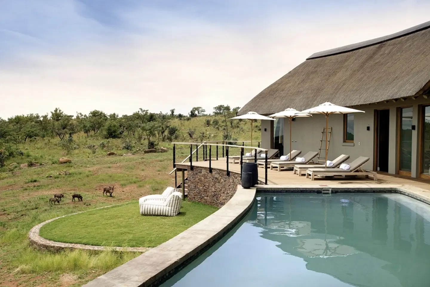 Mhondoro Safari Lodge & Villa OUTDOOR_POOL