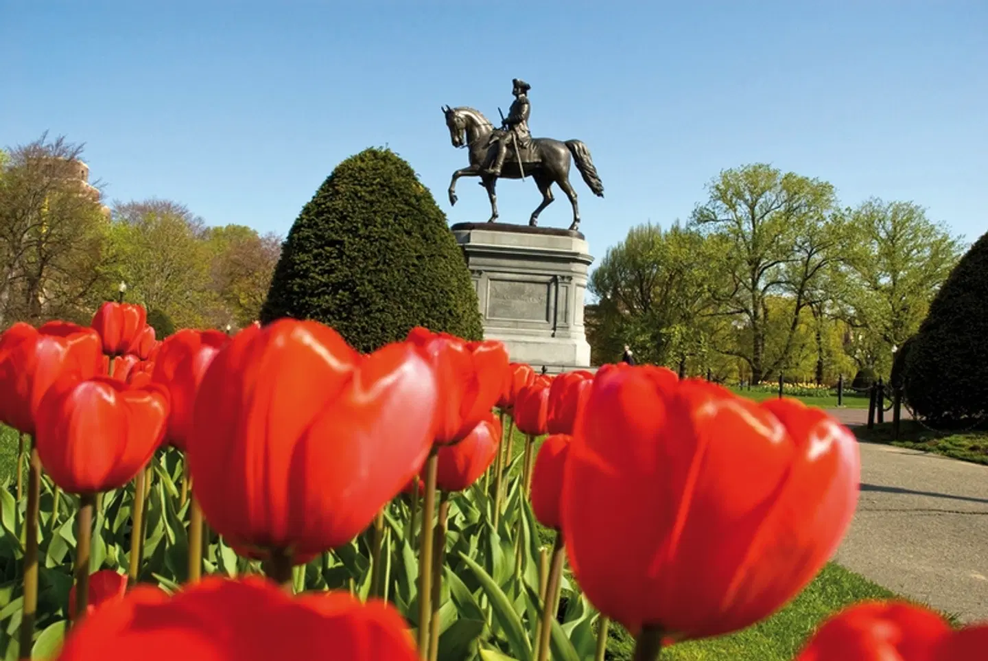 Raffles Boston LANDSCAPE