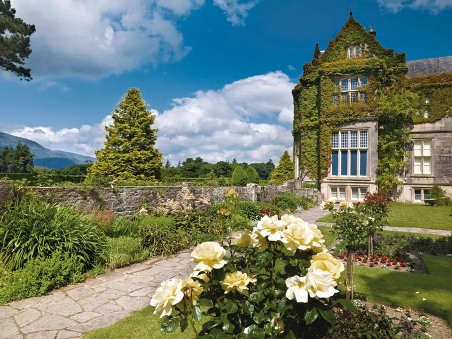 Irlands romantischer Süden Garten