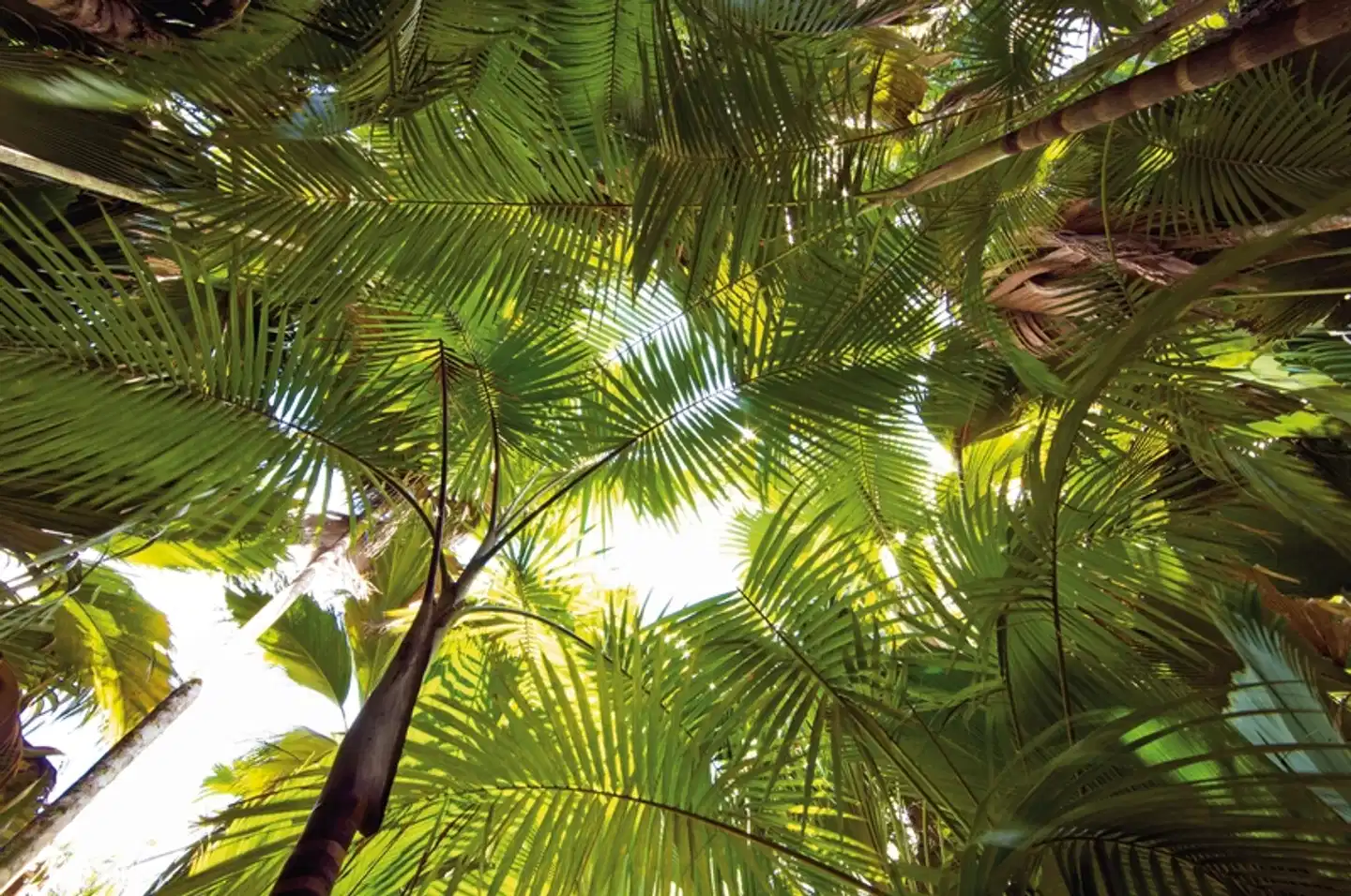 Segeltörn durchs Paradies - S.V. Sea Pearl (8 Tage/7 Nächte, ab/bis Mahé) Landschaft