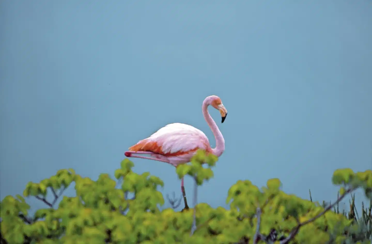 Galápagos Island Hopping Sport und Entertainment