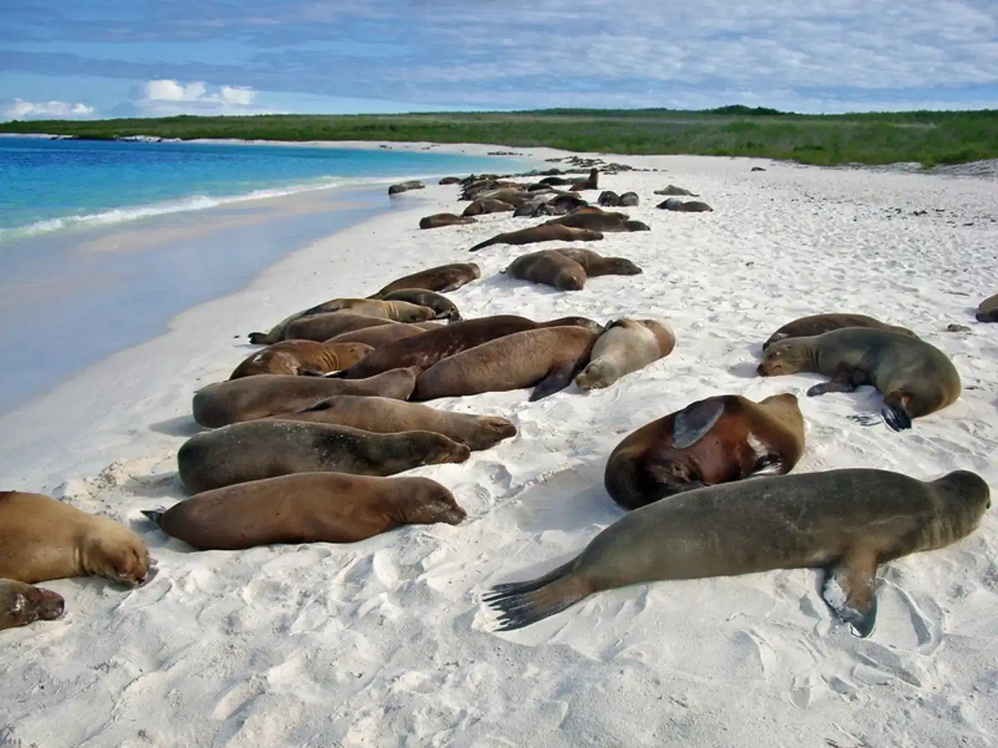 Galápagos Island Hopping Strand