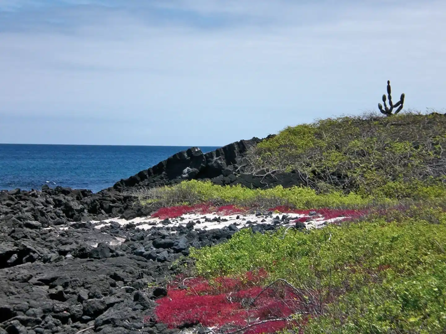 Galápagos Island Hopping Landschaft