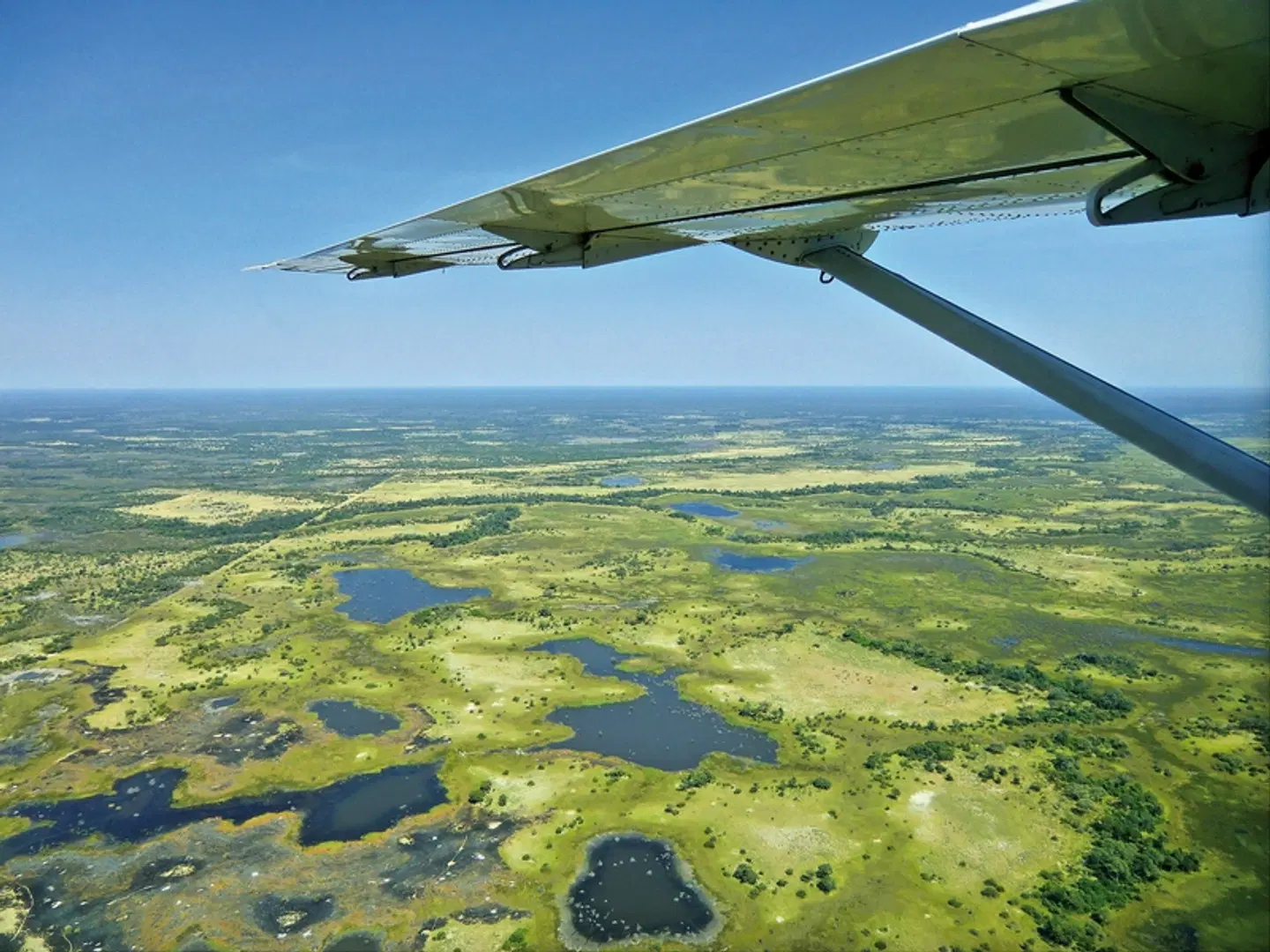 Chobe & Okavango Fly In Safari Landschaft