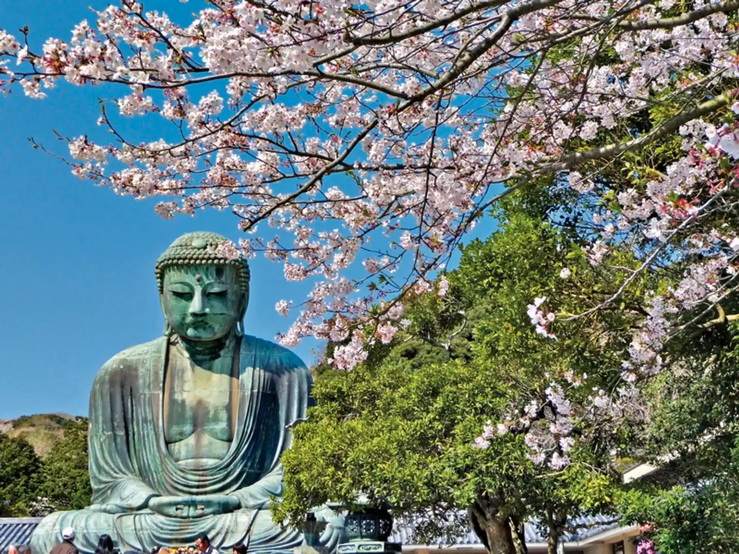 Japan für Individualisten (inkl. Flug) Landschaft