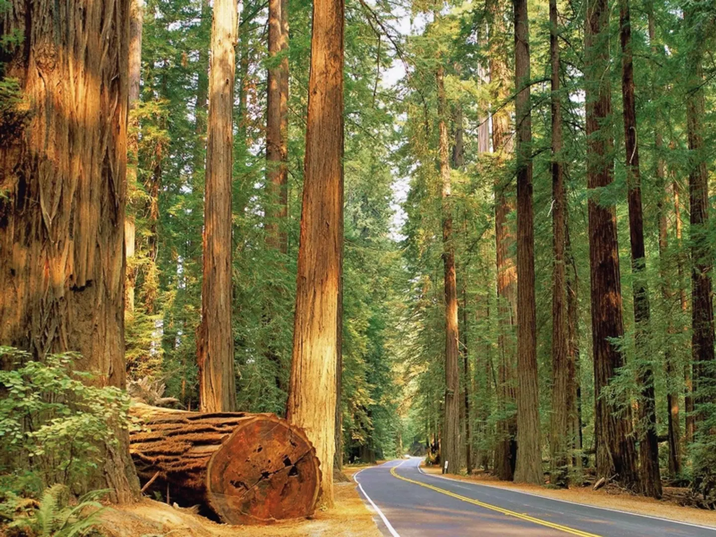 Wilde Küste & Majestätische Wälder HEALTH_BEAUTY