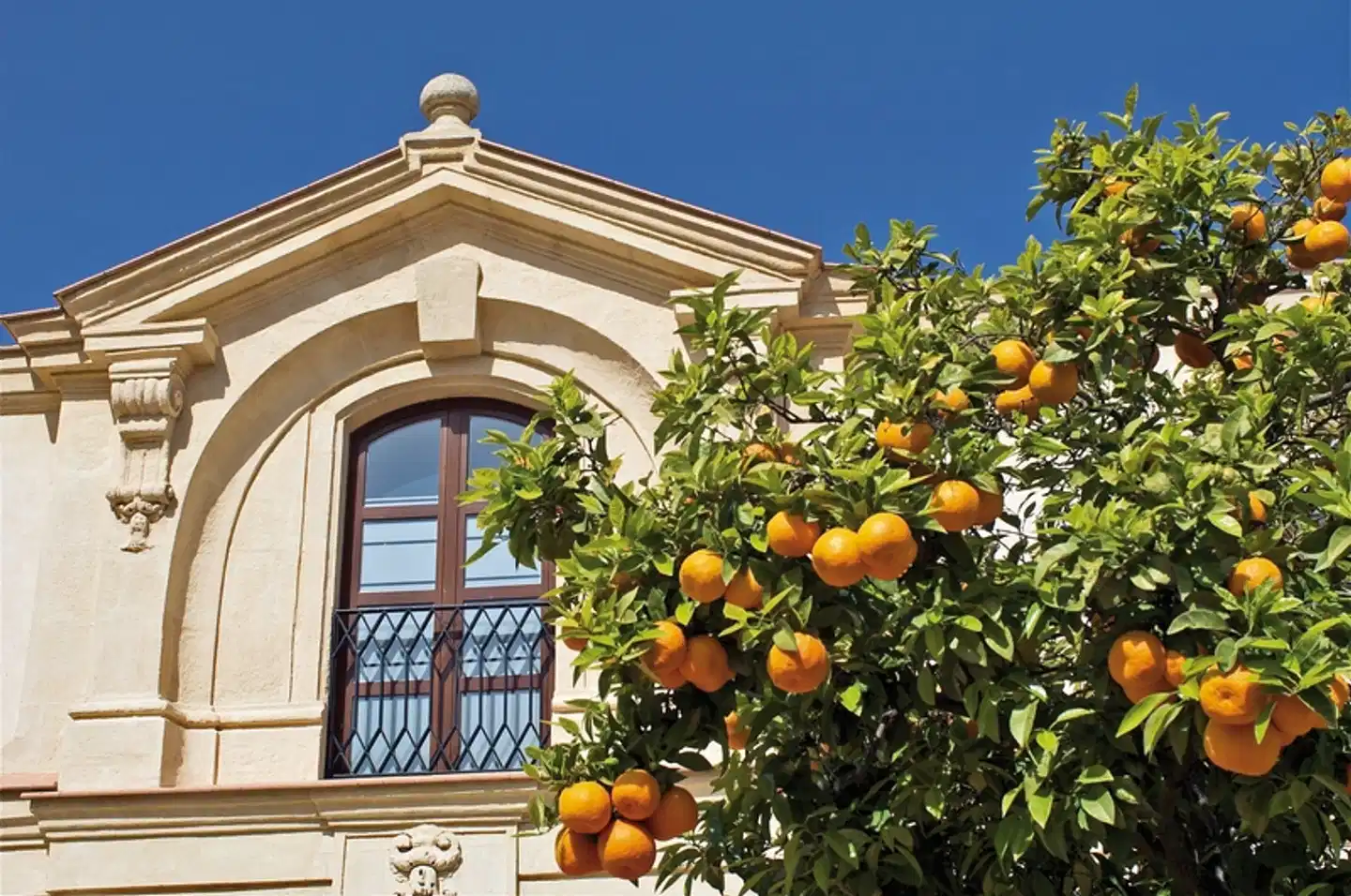 Das Beste von Andalusien (ab/bis Sevilla) Terrasse