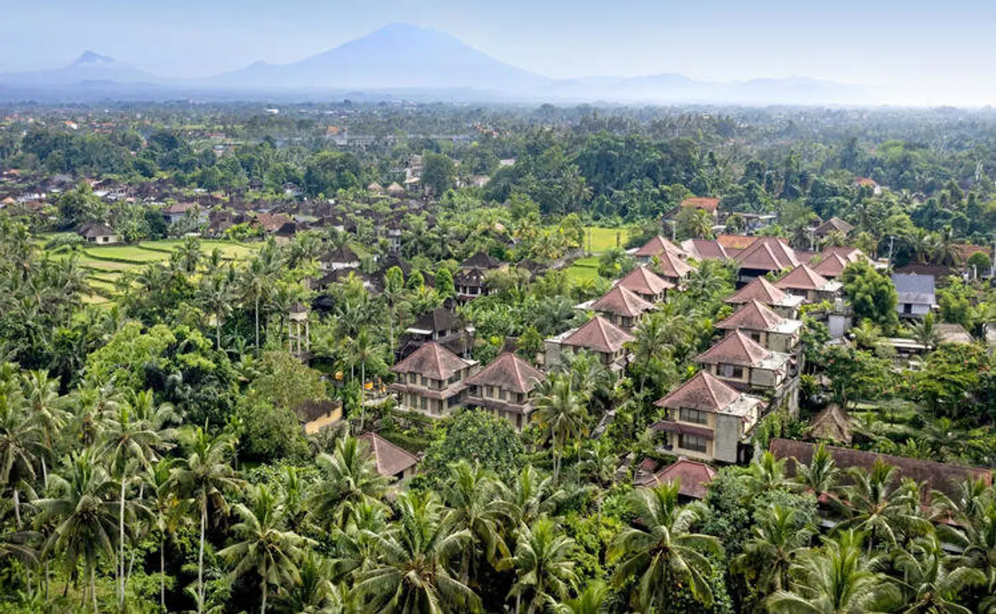 Sakti Garden Resort & Spa LANDSCAPE