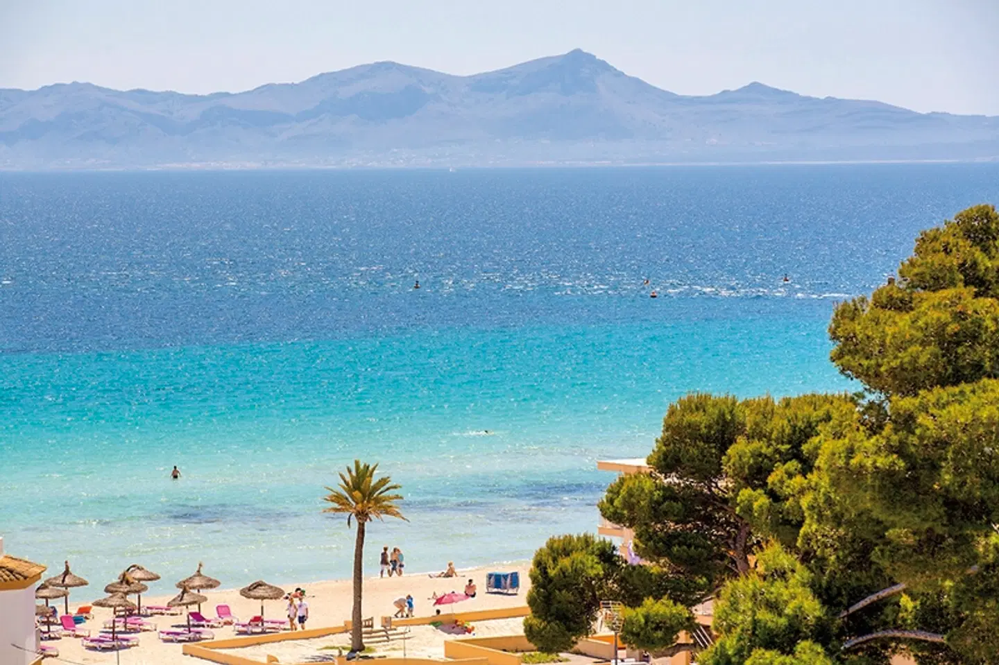 Ivory Playa LANDSCAPE