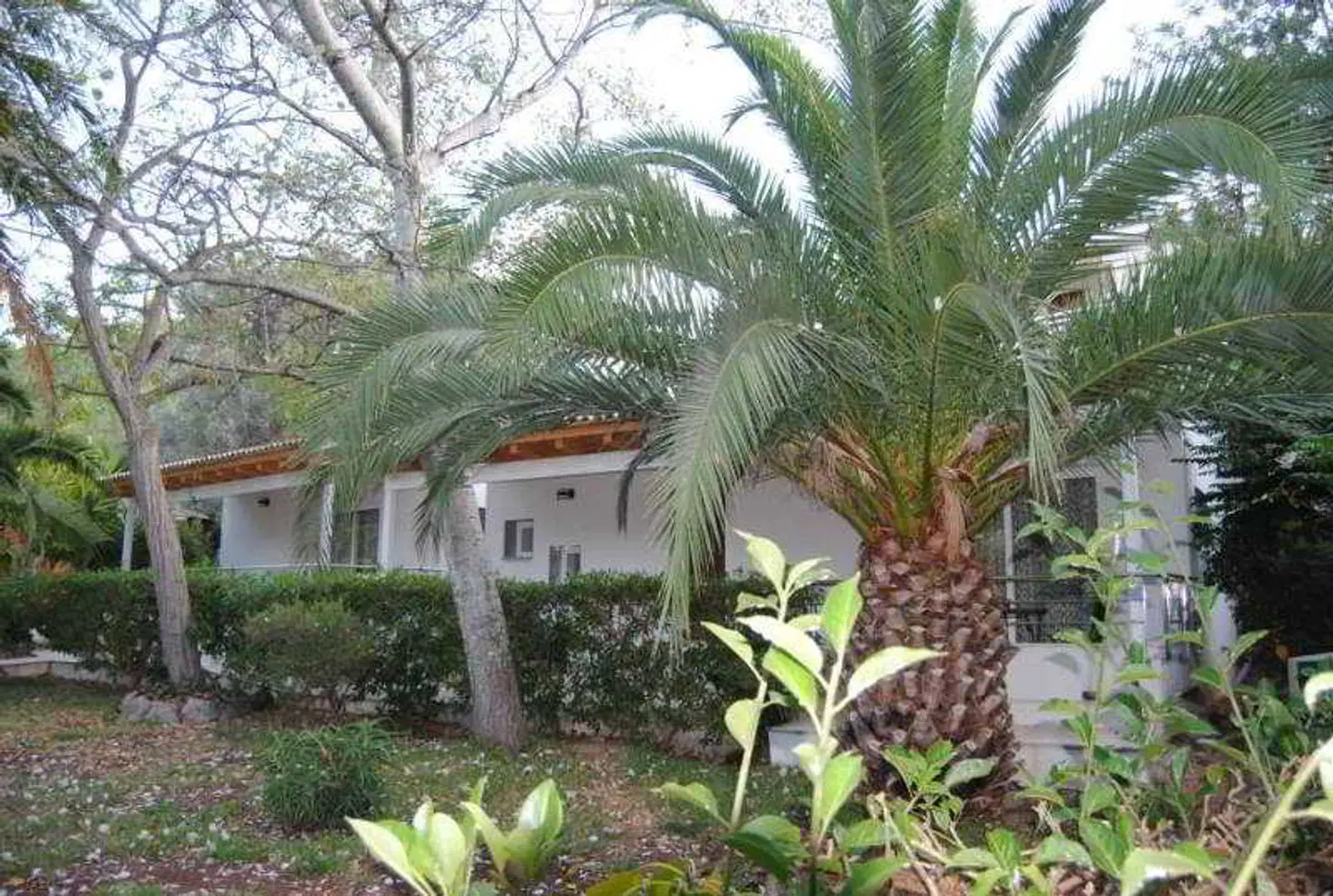 Sóller Garden Garten